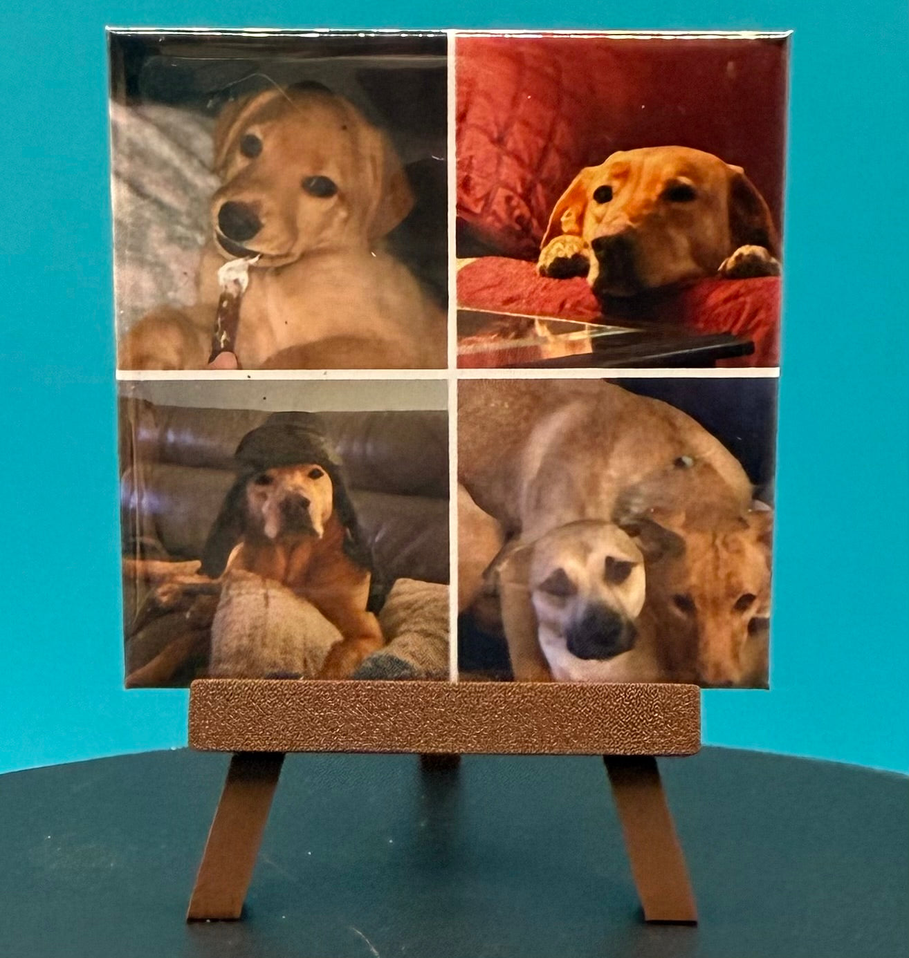 Picture Collage