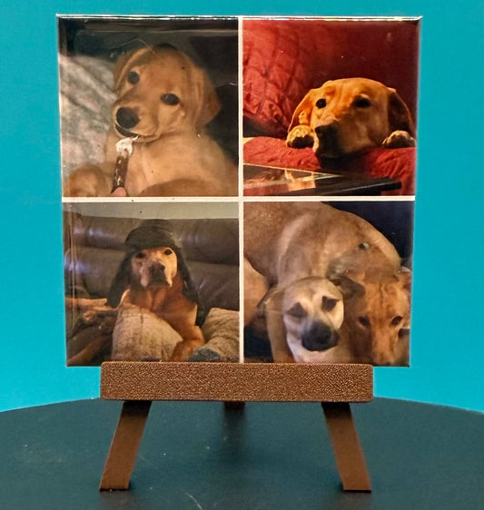 Picture Collage